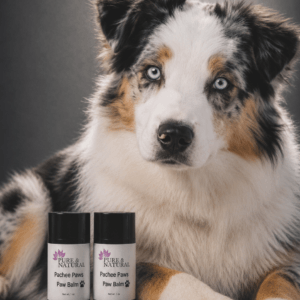 Pet Care