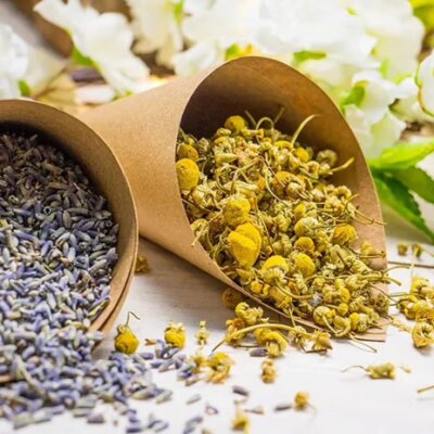 organic chamomile flowers