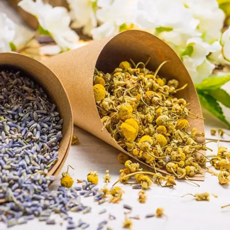 Organic chamomile flowers
