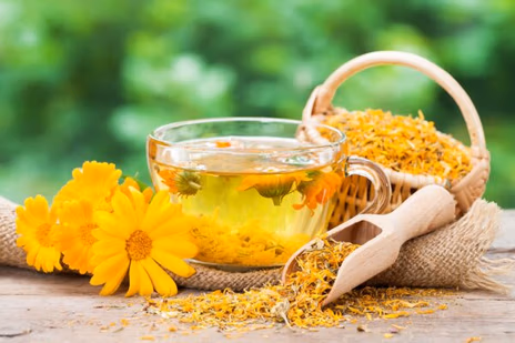 Calendula flowers